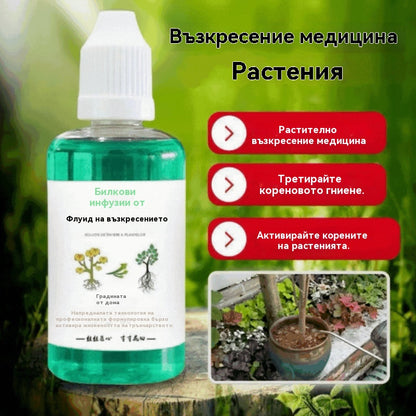 🌱🌱【3 броя】Течност за активиране на растения и цветя