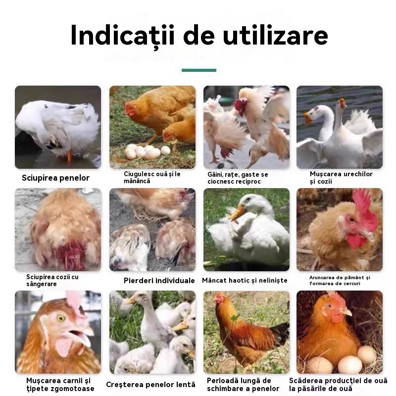 1 бутилка лекарство за всички болести по пилетата✅Пилета, които сериозно кълват пера, пръсти и седалище ✅Пилета, които кълват яйца ✅Недохранване при домашни птици ✅Калциева добавка за домашни птици за допълване на храненето ✅Универсален за домашни птици