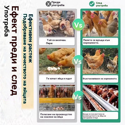 Едно шише лекарство, което може да лекува всички болести при пилетата ✅ Пилета, които кълват перата, пръстите и опашките ✅ Пилета, които чупят яйца ✅ Недостиг на хранителни вещества при домашни птици