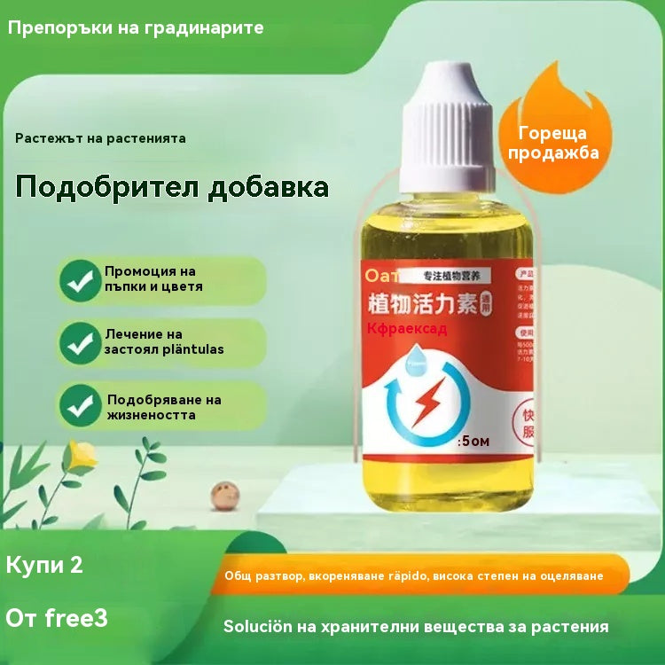 🌱🌱💥【Купете 2, вземете 1 безплатно】Трансферен разтвор, който насърчава растежа на растенията.