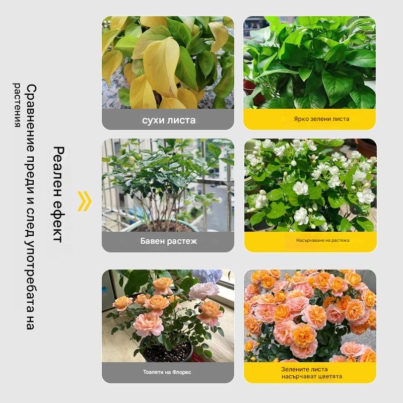 Водоразтворим листен тор с хлорофил за цветя, овощни дървета и зеленчуци. Насърчава растежа на корените и разсада и увеличава производството. Водоразтворим селскостопански тор.