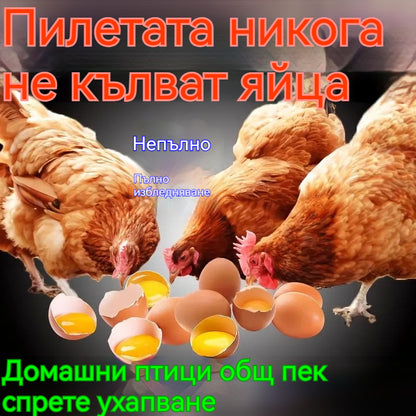 Една единствена хапче може да излекува болестта. ✅Пилета, които сериозно кълват перата, краката и задните си части ✅Пилета, които кълват яйца ✅Недохранване при домашните птици
