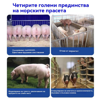 🐖🐏🐂【Купете 1, вземете 1 безплатно】Добавки за угояване и наддаване на тегло за свине, говеда и овце✅Увеличава месото✅Удължава скелета✅Фураж за угояване