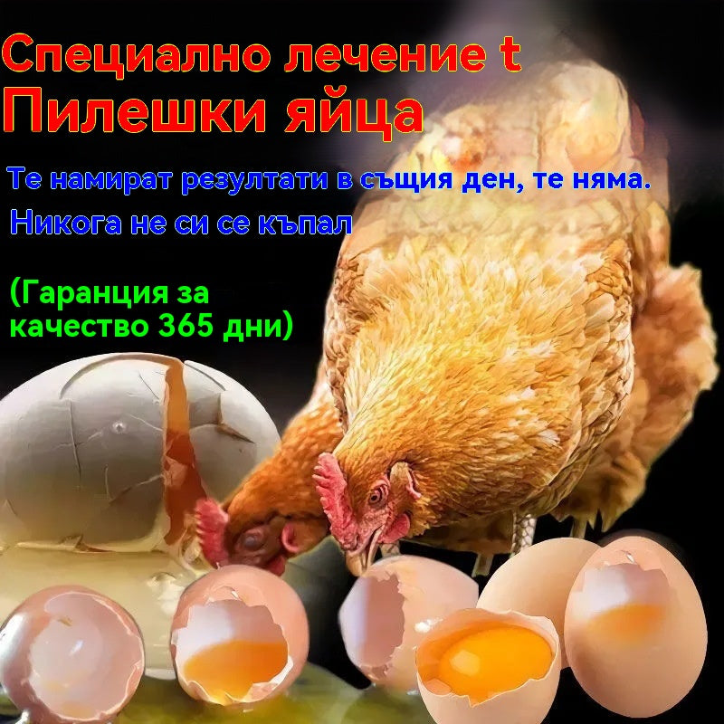 Едно шише лекарство, което може да лекува всички болести при пилетата ✅ Пилета, които кълват перата, пръстите и опашките ✅ Пилета, които чупят яйца ✅ Недостиг на хранителни вещества при домашни птици