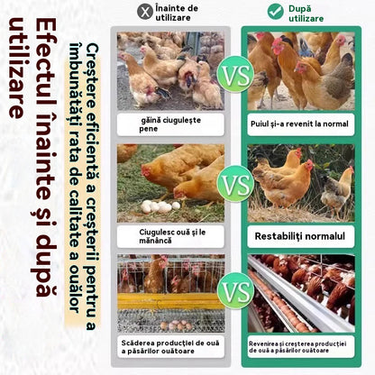 1 бутилка лекарство за всички болести по пилетата✅Пилета, които сериозно кълват пера, пръсти и седалище ✅Пилета, които кълват яйца ✅Недохранване при домашни птици ✅Калциева добавка за домашни птици за допълване на храненето ✅Универсален за домашни птици