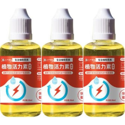 🌱🌱💥【Купете 2, вземете 1 безплатно】Трансферен разтвор, който насърчава растежа на растенията.