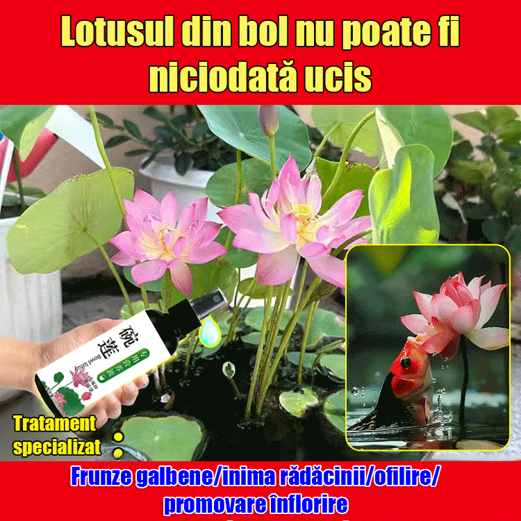 [3/6/9 бутилки] Разтвор за растителни торове, специален разтвор за водни лилии