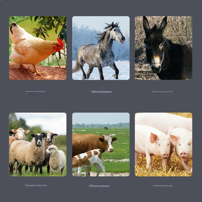 🐖🐂🐏🐓【Купете 1, вземете 1 безплатно】Режещ диск за ъглошлайф от неръждаема стомана - специално острие за обезкосмяване на прасета, говеда и овце