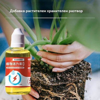 🌱🌱💥【Купете 2, вземете 1 безплатно】Трансферен разтвор, който насърчава растежа на растенията.