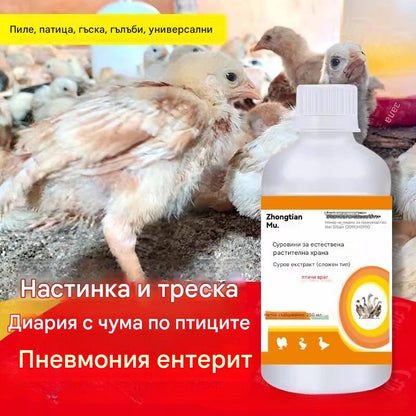 Лекува всички болести по пилетата ✅ Настинки и треска ✅ Чума по пилетата и диария ✅ Кашлица и ентерит ✅ Затворени очи и увиснали крила ✅ Вирусни и бактериални инфекции ✅ Приложим за всички видове птици