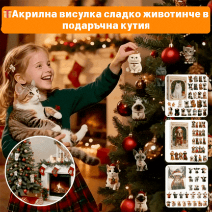 Адвент календар за любителите на котки 2025