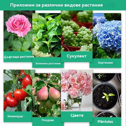 🌱🌱💥【Купете 2, вземете 1 безплатно】Трансферен разтвор, който насърчава растежа на растенията.